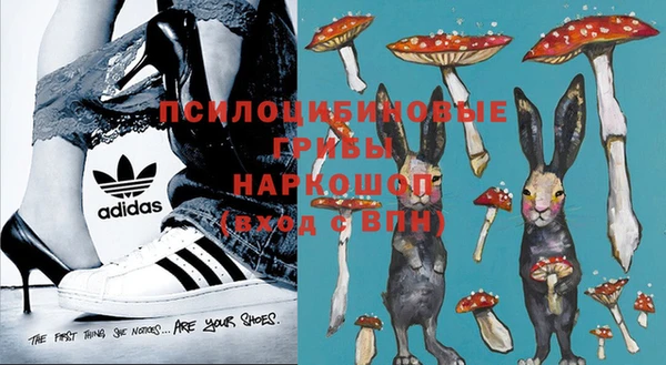 ешки Алексин